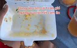 Đang ăn cơm thì gặp "biến" khiến cô gái 3 phần ngỡ ngàng, 7 phần bất lực, dân mạng thấy vậy vội xin lỗi vì... không thể nhịn cười
