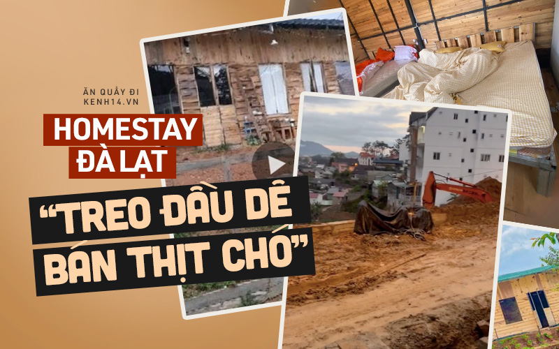 Homestay Đà Lạt và những cú phốt khiến dân mạng mất trọn niềm tin: Làm ơn đừng "treo đầu dê bán thịt chó" nữa!