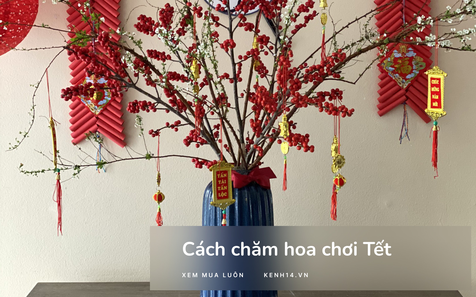 Mua hoa Tết đắt đỏ mà không biết chăm thì đúng “phí của trời”: Chị em vào đây xem mình chỉ cách chăm hoa, chơi qua Tết vẫn cứ là “ok” luôn nè
