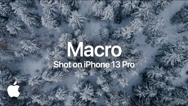 Apple khoe ảnh chụp macro cực xịn xò trên iPhone, thế này mới gọi là macro chứ! - Ảnh 13.