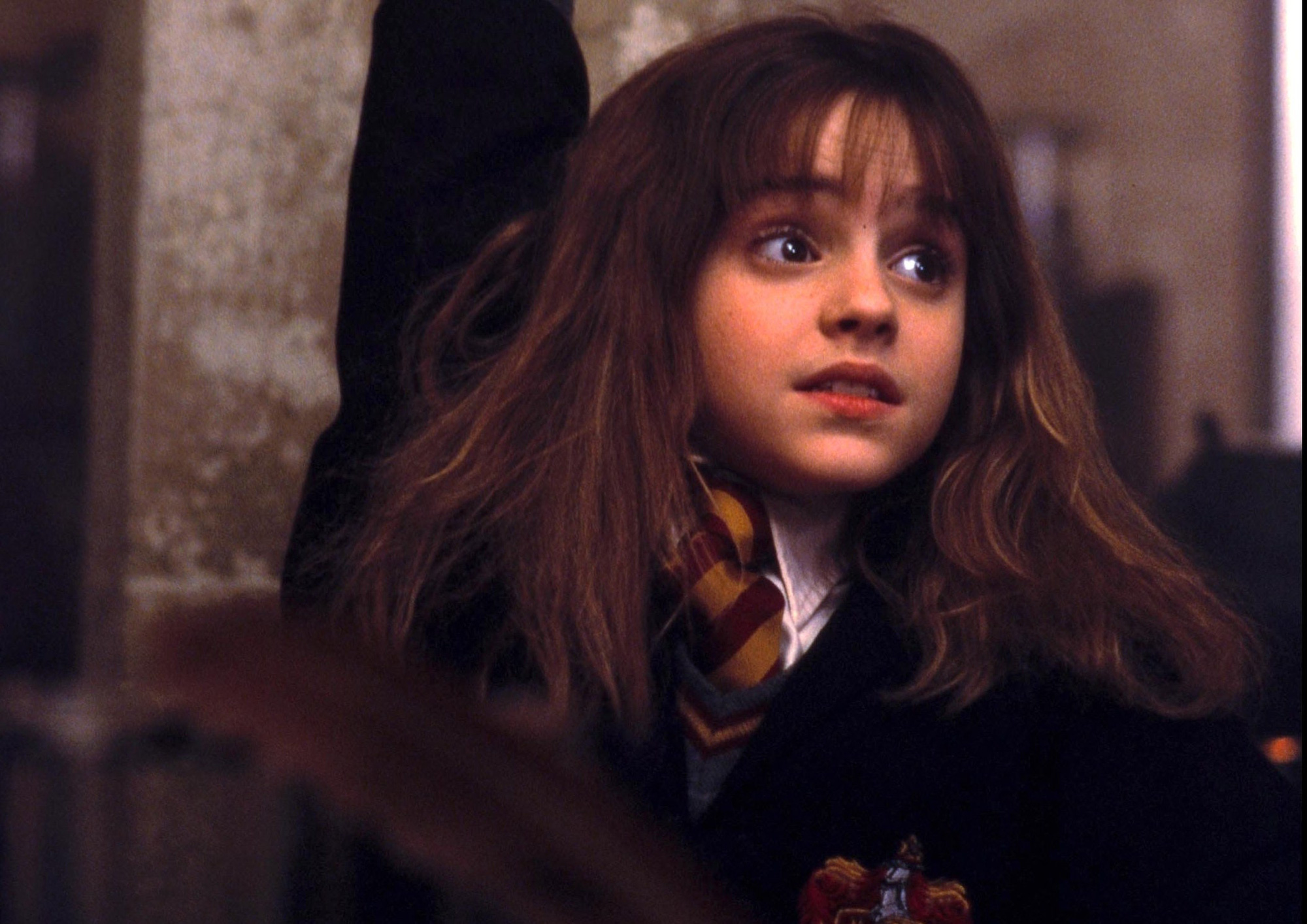 Sự thật về những người phụ nữ trong Harry Potter khiến fan quặn thắt: Hermione day dứt 1 nỗi sợ khó nói, dì Petunia đã sống cả đời khổ đau? - Ảnh 5.