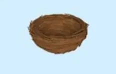 iOS 15.4 thêm loạt biểu tượng cảm xúc mới: Đàn ông mang bầu, thả tim, chào cờ... - Ảnh 23.