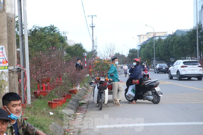 Đua nhau hạ giá, đào quất ở Hà Tĩnh vẫn ế ẩm ngày cận Tết - Ảnh 4.