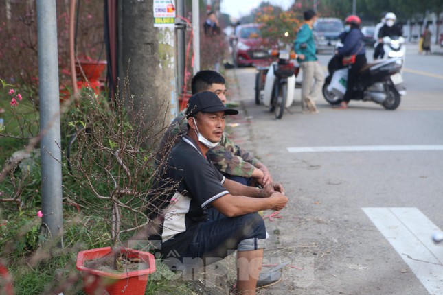 Đua nhau hạ giá, đào quất ở Hà Tĩnh vẫn ế ẩm ngày cận Tết - Ảnh 8.