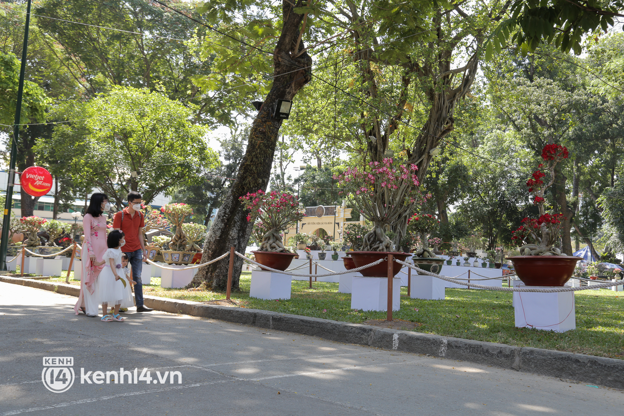 Chi&ecirc;m ngưỡng vườn hoa sứ độc lạ chỉ c&oacute; tại hội hoa xu&acirc;n c&ocirc;ng vi&ecirc;n Tao Đ&agrave;n 2022 - Ảnh 1.