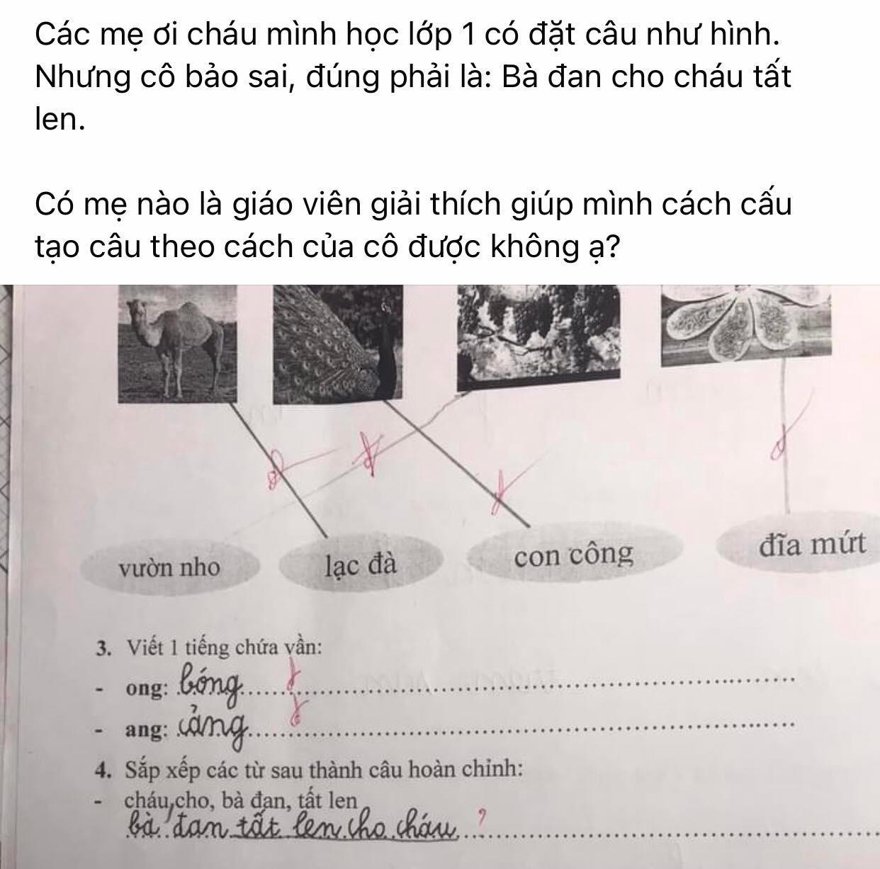 Bài tập lớp 1 yêu cầu sắp xếp câu Tiếng Việt, cậu nhóc viết 1 đáp án nhưng bị gạch sai, xem lời giải của giáo viên mà lú luôn - Ảnh 1.