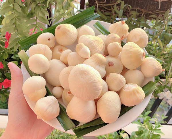 Món quê thành đặc sản được săn lùng, 300.000 đồng/kg cũng khó mua - Ảnh 1.