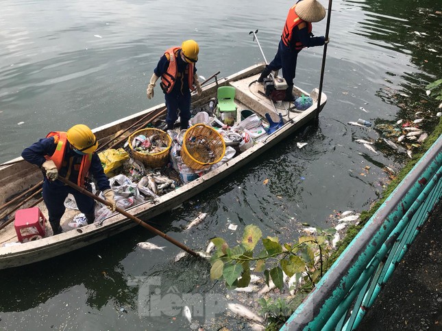 Nguyên nhân nào khiến cá chết liên tục ở hồ Tây? - Ảnh 2.