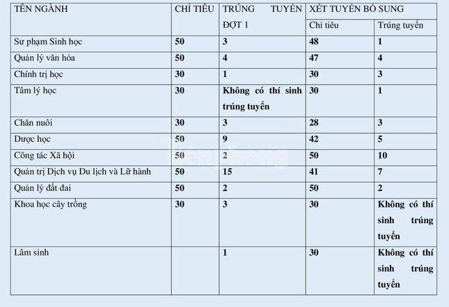 Tuyển sinh đại học 2022: Nhiều ngành trắng thí sinh - Ảnh 2.