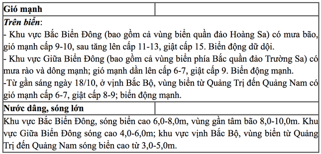 Bão số 6 cách quần đảo Hoàng Sa khoảng 510km, gió mạnh lên cấp 13 - Ảnh 3.
