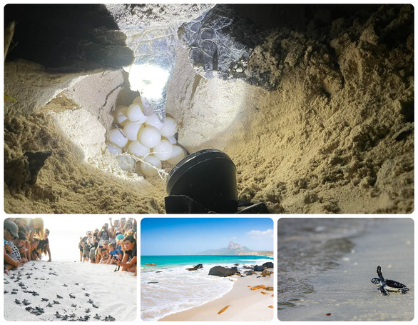 Ngắm TP.HCM từ tr&ecirc;n cao bằng trực thăng, th&aacute;m hiểm Sơn Đo&ograve;ng v&agrave;o top 50 tour du lịch độc đ&aacute;o - Ảnh 5.