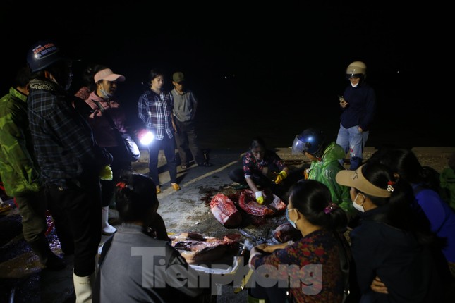 Hối hả b&aacute;n hải sản tại cảng lớn nhất H&agrave; Tĩnh trước giờ b&atilde;o số 6 đổ bộ - Ảnh 8.