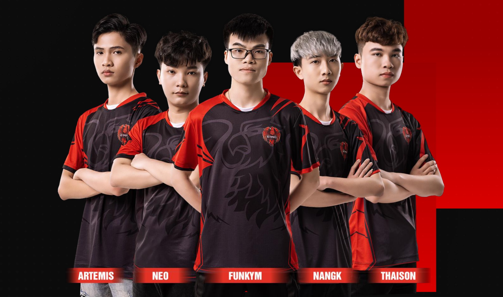 Thành tích ấn tượng của HQ Esports, đội tuyển vừa lần đầu tiên giành ...