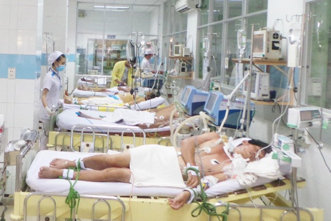 TP.HCM: 29 người chết vì sốt xuất huyết, 113 ổ dịch trong cộng đồng - Ảnh 1.