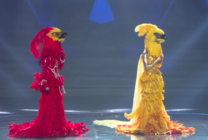 Tiểu Phượng Hoàng vừa xuất hiện ở Bán kết Ca sĩ mặt nạ là cháu gái ruột Diva Hà Trần? - Ảnh 2. Tiểu Phượng Hoàng vừa xuất hiện ở Bán kết Ca sĩ mặt nạ là cháu gái ruột Diva Hà Trần? - Ảnh 2.