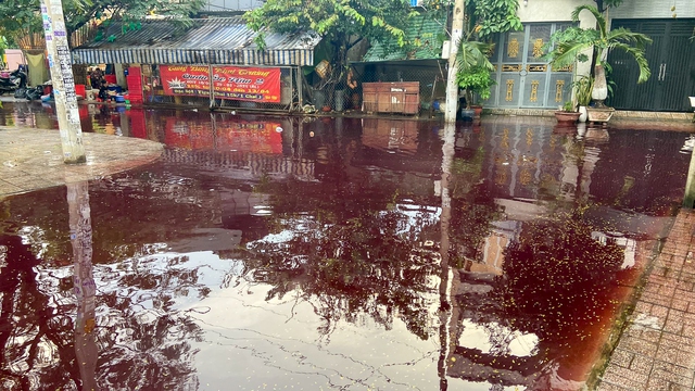 Sau cơn mưa, khu dân cư ở TP.HCM bị ngập nước có màu đỏ bất thường - Ảnh 5.