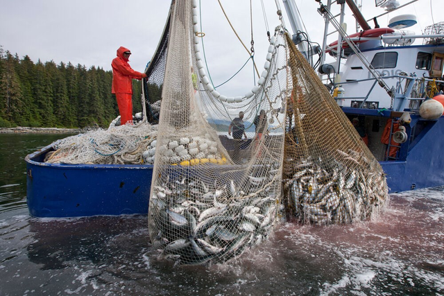 Chẳng cần đánh bắt hay nuôi cá, cũng có thủy sản dồi dào ngon lành: Vừa cứu lấy đại dương, vừa bảo vệ môi trường - Ảnh 3.