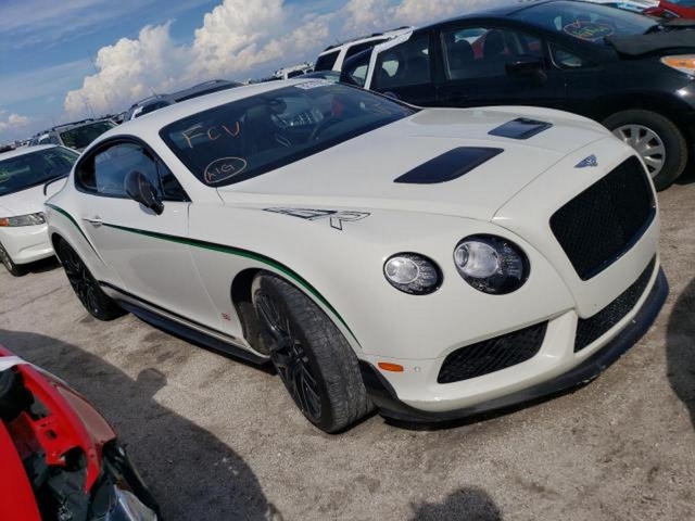 Bentley Continental GT3-R bị hỏng do lũ vừa được bán đấu giá thành công - Ảnh 1.