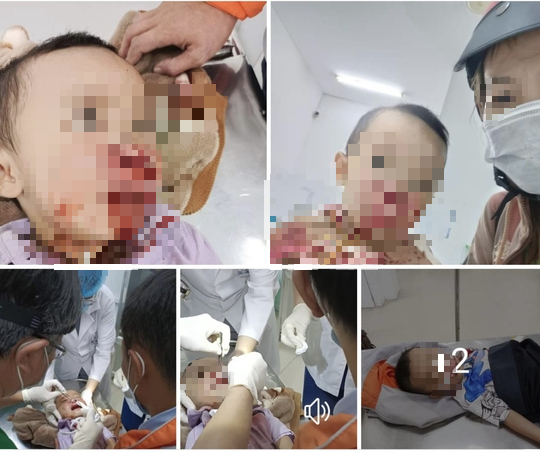 Xử l&yacute; nghi&ecirc;m nếu c&oacute; chuyện CSGT đ&aacute;nh tr&uacute;ng mặt ch&aacute;u b&eacute; - Ảnh 1.