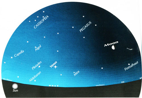 Sao Kim Hệ Mặt Trời Hành Tinh Minh Họa Vẽ Tranh Phấn Nghệ Thuật Vẽ Hình  minh họa Sẵn có - Tải xuống Hình ảnh Ngay bây giờ - iStock