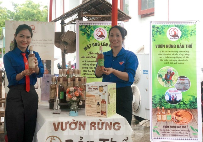 Cô gái 9x về rừng khởi nghiệp thành công, truyền cảm hứng và tạo việc làm cho thanh niên địa phương - Ảnh 3.