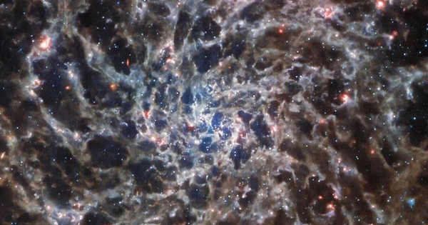 Kính viễn vọng James Webb tiết lộ bộ xương một thiên hà xa xôi tuyệt đẹp - Ảnh 1.