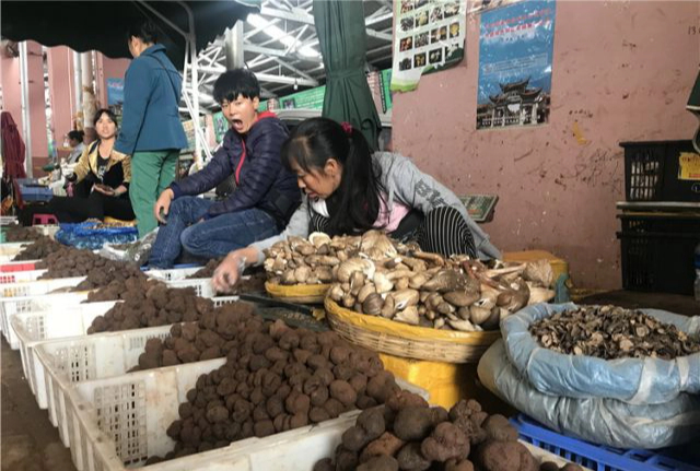 Một ngày ở chợ nấm Côn Minh - nơi bán thức quà của đất đắt đỏ bậc nhất thế giới - Ảnh 1.