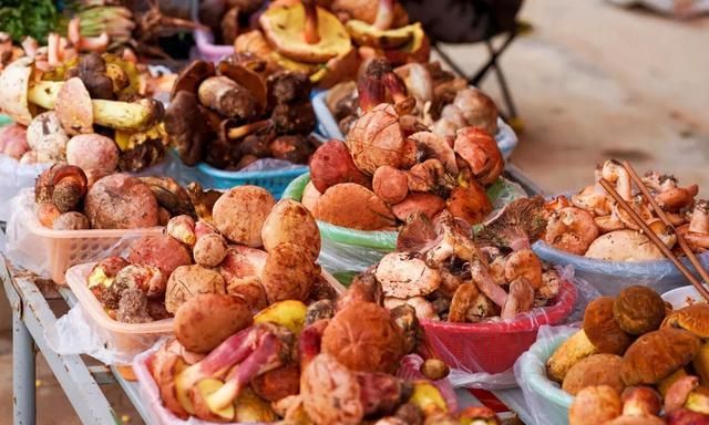 Một ng&agrave;y ở chợ nấm C&ocirc;n Minh - nơi b&aacute;n thức qu&agrave; của đất đắt đỏ bậc nhất thế giới - Ảnh 4.