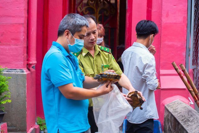 TP.HCM: Ch&ugrave;a Ngọc Ho&agrave;ng b&agrave;n giao 62 con r&ugrave;a qu&yacute; hiếm, nguy cấp cho kiểm l&acirc;m - Ảnh 2.