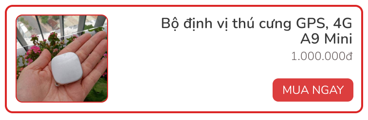 Dùng thử vòng theo dõi sức khỏe thú cưng Petkit Fit 3: Rẻ, đẹp, pin siêu bền - Ảnh 13.