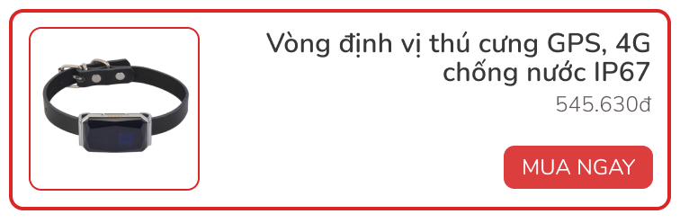 Dùng thử vòng theo dõi sức khỏe thú cưng Petkit Fit 3: Rẻ, đẹp, pin siêu bền - Ảnh 12.
