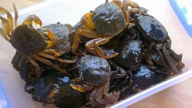 Cứ v&agrave;o m&ugrave;a l&agrave; chị em t&igrave;m mua loại đặc sản n&agrave;y với gi&aacute; 300 ngh&igrave;n/kg - Ảnh 3.