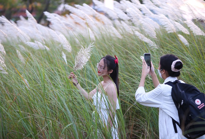 Ảnh: Đà Nẵng vào mùa cỏ lau đẹp hút hồn, giới trẻ rủ nhau đến chụp ảnh - Ảnh 20.