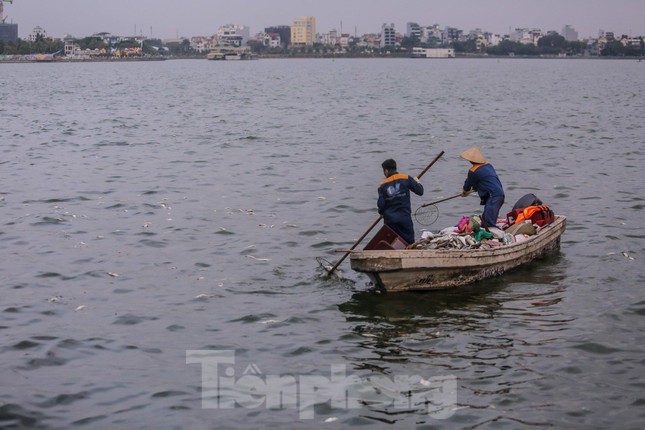 Hà Nội: Huy động thêm ca nô sục nước, vớt cá chết ở hồ Tây - Ảnh 4.