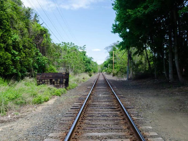 Đang giàu sụ thì sa cơ thất thế, tay chơi Mỹ phải vào rừng sống trong lều: Có cả núi tiền mà không biết cách tiêu sớm muộn cũng rỗng túi - Ảnh 3.