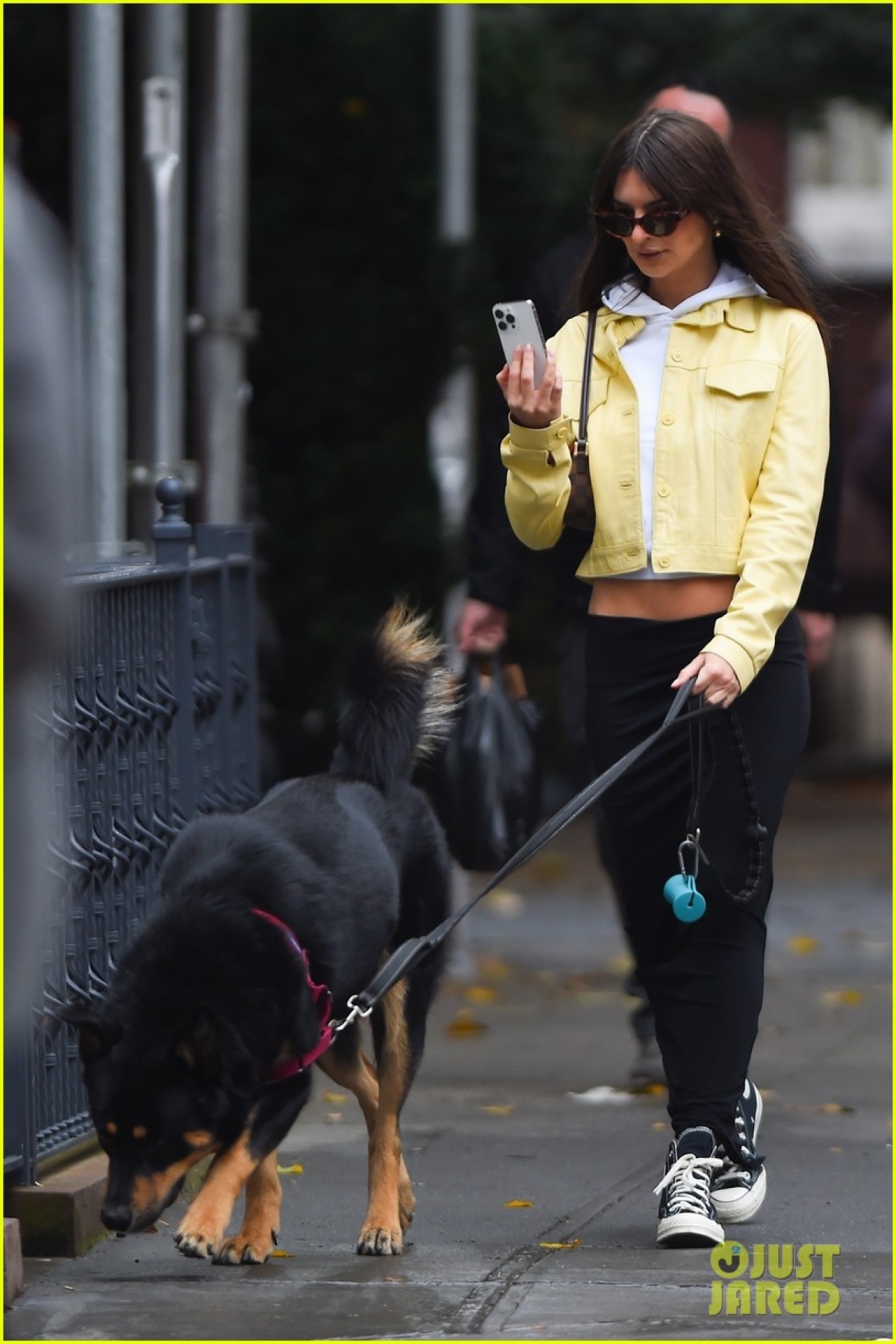 Siêu mẫu Emily Ratajkowski để mặt mộc xinh đẹp dắt thú cưng đi dạo phố - Ảnh 6.