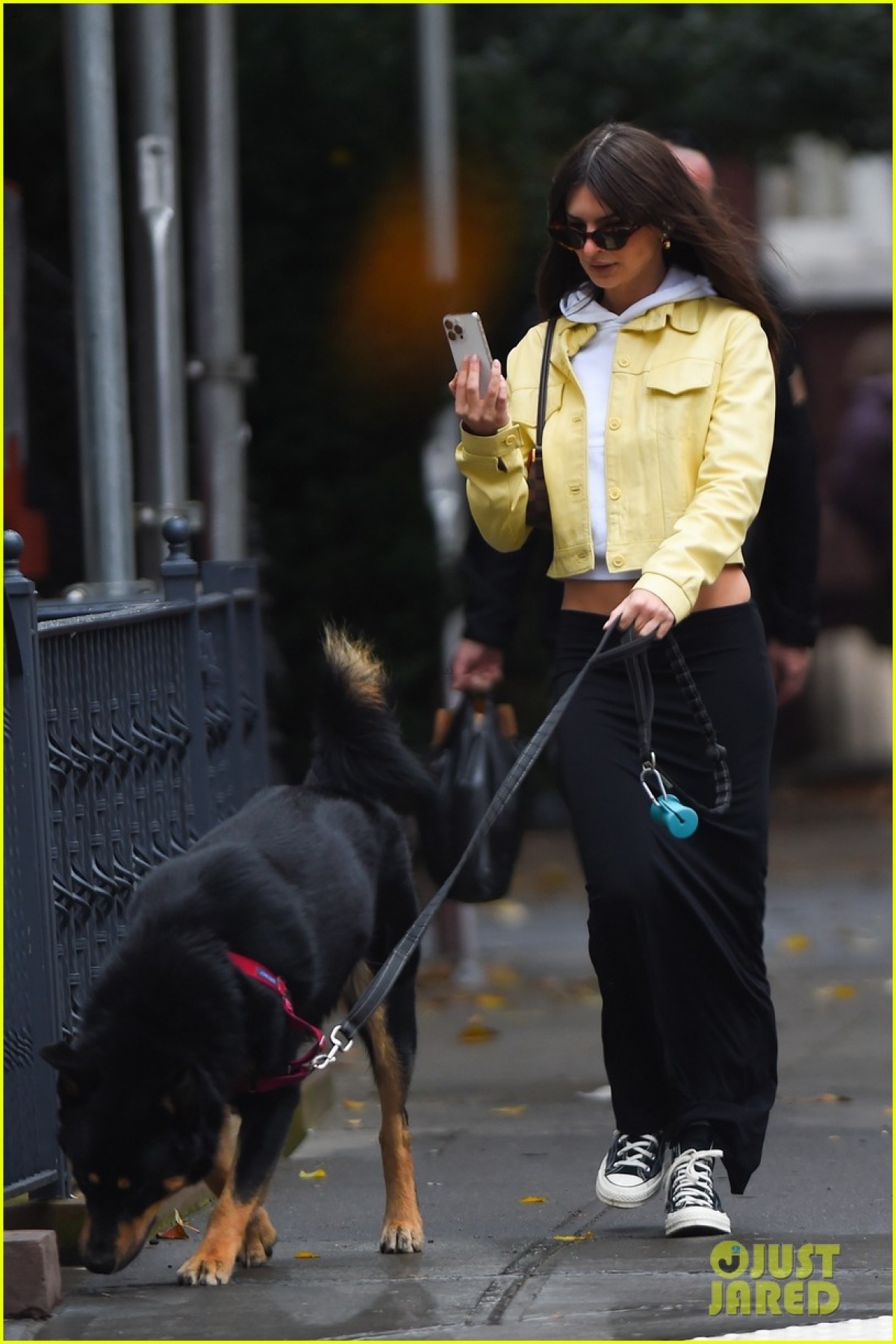 Siêu mẫu Emily Ratajkowski để mặt mộc xinh đẹp dắt thú cưng đi dạo phố - Ảnh 4.