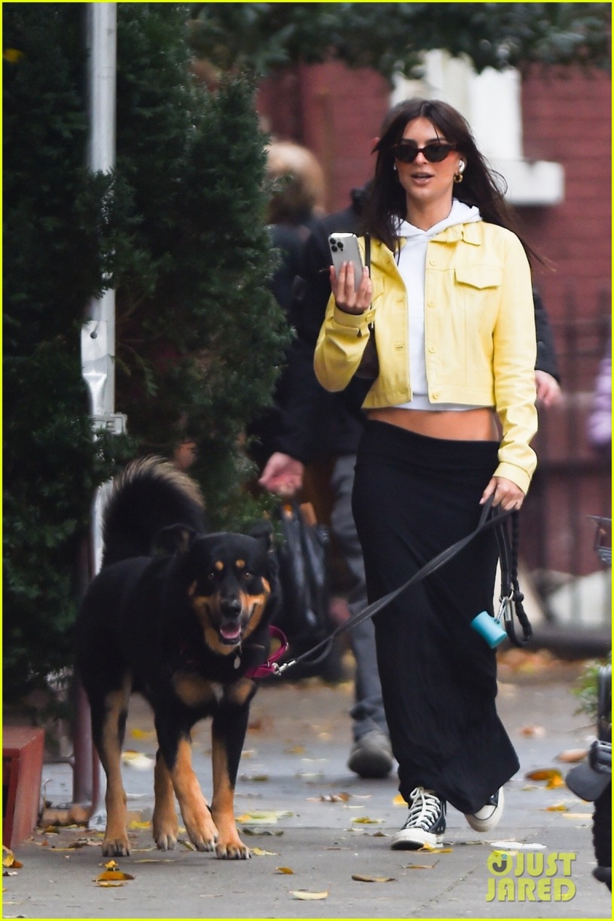 Siêu mẫu Emily Ratajkowski để mặt mộc xinh đẹp dắt thú cưng đi dạo phố - Ảnh 1.