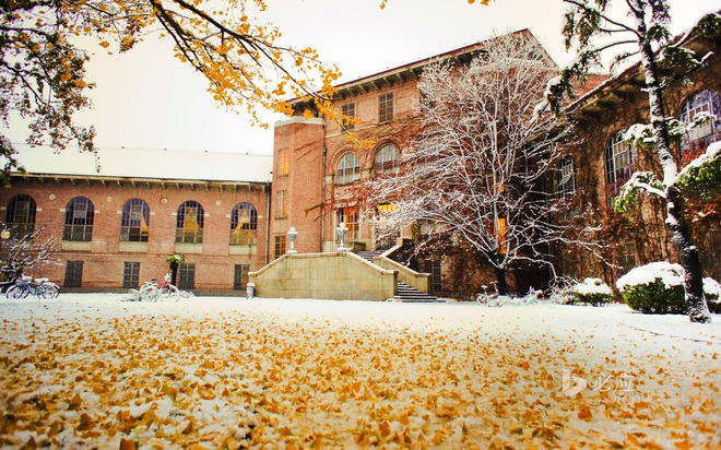 6h thư viện vẫn sáng đèn, Harvard châu Á có gì mà sinh viên phải học xuyên đêm? - Ảnh 5.