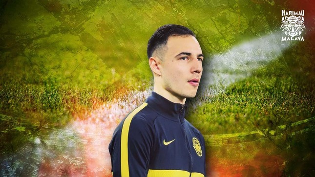 ĐT Malaysia mất ngôi sao số một hàng thủ ở AFF Cup - Ảnh 1.