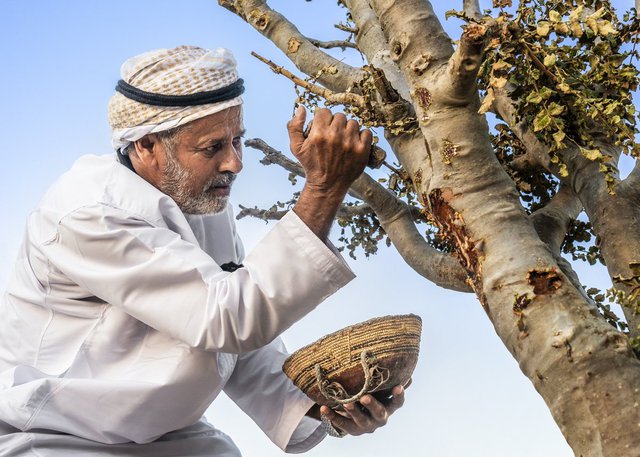 Đất nước Oman: Viên đá quý của Ả Rập với những điều độc đáo thu hút du khách - Ảnh 3.