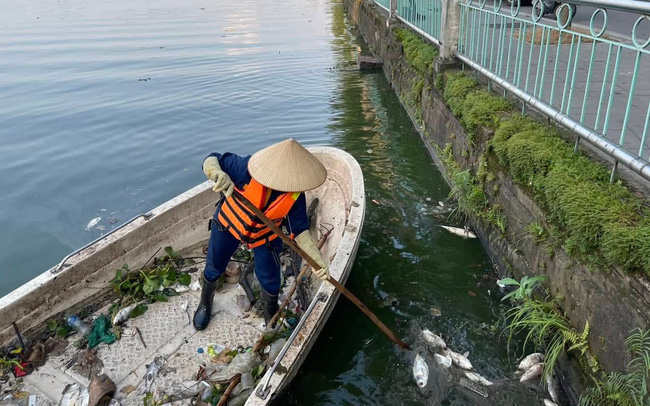 Cá chết nổi tại hồ Tây: Nhiều chỉ số trong mẫu nước hồ vượt quy chuẩn cho phép - Ảnh 1.