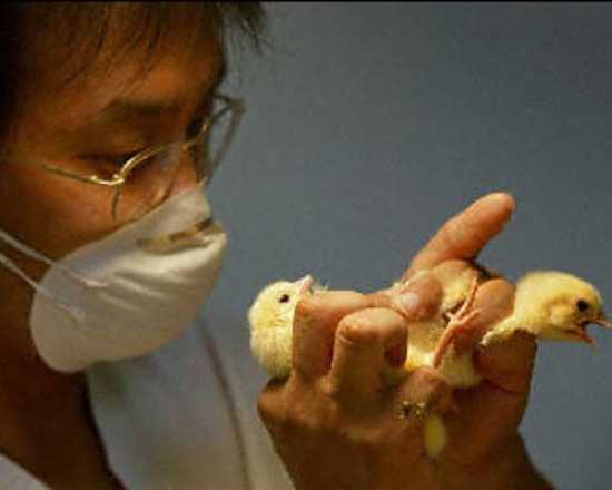 Ng&agrave;nh nghề c&oacute; mức lương 2 triệu đồng/ng&agrave;y nhưng cung kh&ocirc;ng đủ cầu: &Iacute;t phải cạnh tranh, tay nghề giỏi c&oacute; thể kiếm gần trăm triệu mỗi th&aacute;ng - Ảnh 1.