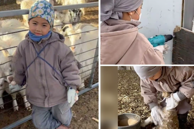 Cậu bé 5 tuổi khiến cư dân mạng Trung Quốc ‘ngả mũ’ thán phục - Ảnh 1.