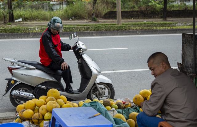 Thủ phủ bưởi Diễn rộn ràng mùa thu hoạch bán Tết: Chủ vườn thu về tiền tỷ - Ảnh 12.