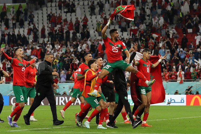 T&igrave;m cội nguồn sức mạnh của ngựa &ocirc; Morocco - Ảnh 1.