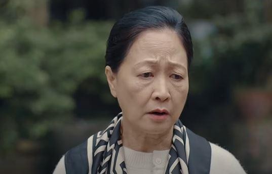 H&agrave;nh Tr&igrave;nh C&ocirc;ng L&yacute; tập 28: Phương (Hồng Diễm) ngăn cản mẹ chồng - Ảnh 3.