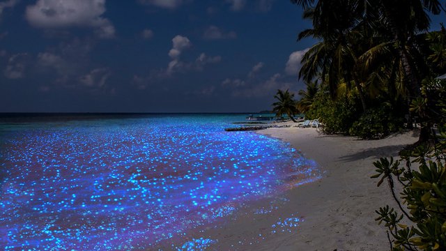 Có một bãi biển phát sáng ở quốc đảo thiên đường, đẹp nhất thế giới Maldives - Ảnh 3.