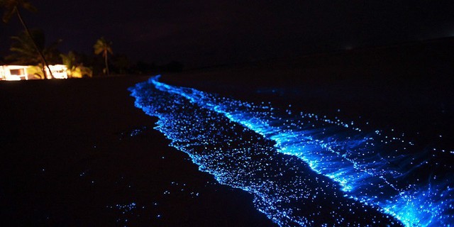 Có một bãi biển phát sáng ở quốc đảo thiên đường, đẹp nhất thế giới Maldives - Ảnh 2.