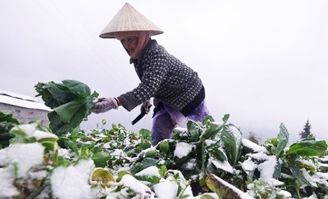 Chuyên gia: Rét đậm, rét hại, băng giá có thể xảy ra ở Bắc Bộ vào cuối tuần - Ảnh 2.